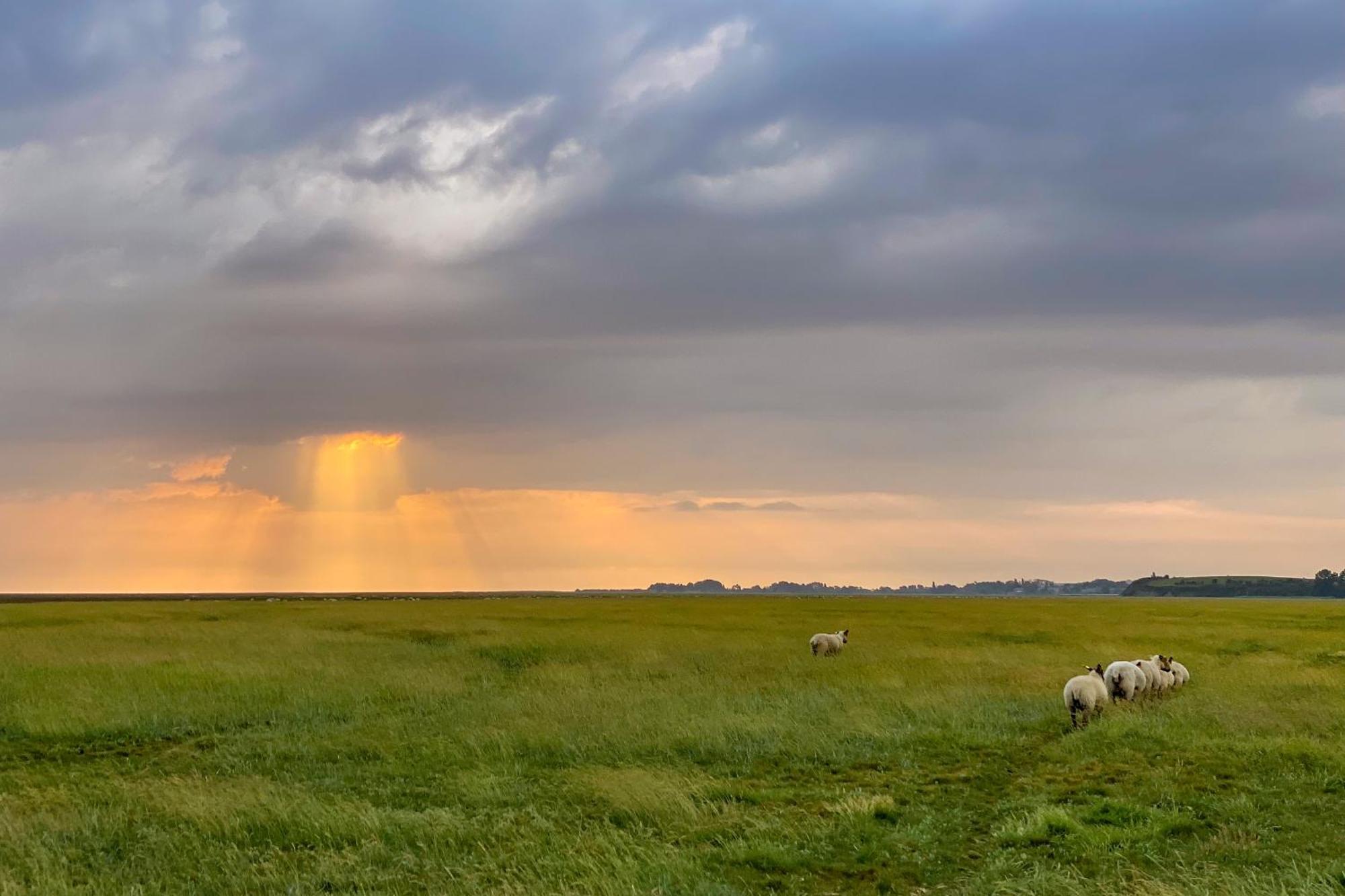 Entre Mont St Michel Et Merveille Vains 외부 사진